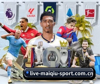 www.live-maiqiu-sport.com.cn APP