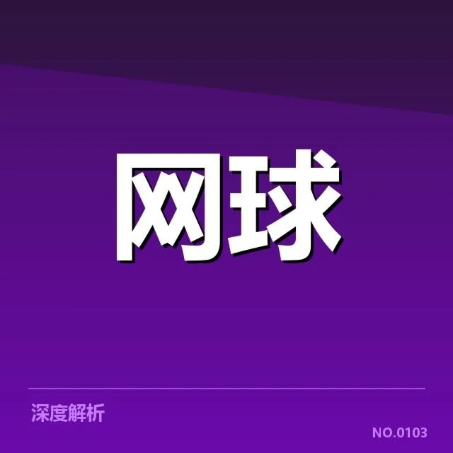 ATP巡回赛伤病恢复:球员身体调养有何难点